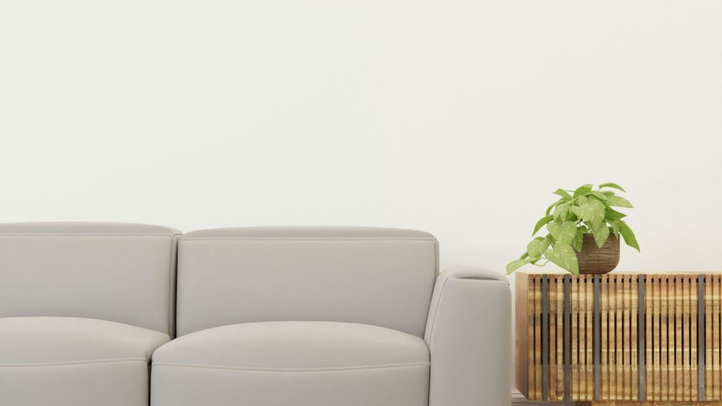 Elegant modern living room with a stylish sofa and decorative plant on a wooden side table.